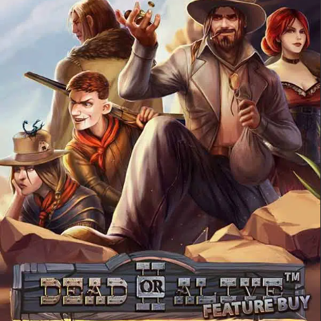 Dead or Alive 2 Feature Buy